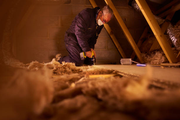 Best Cellulose Insulation in Marissa, IL