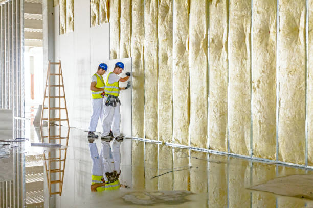 Best Specialized Insulation Services in Marissa, IL